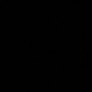 Meet your Posher, Dora